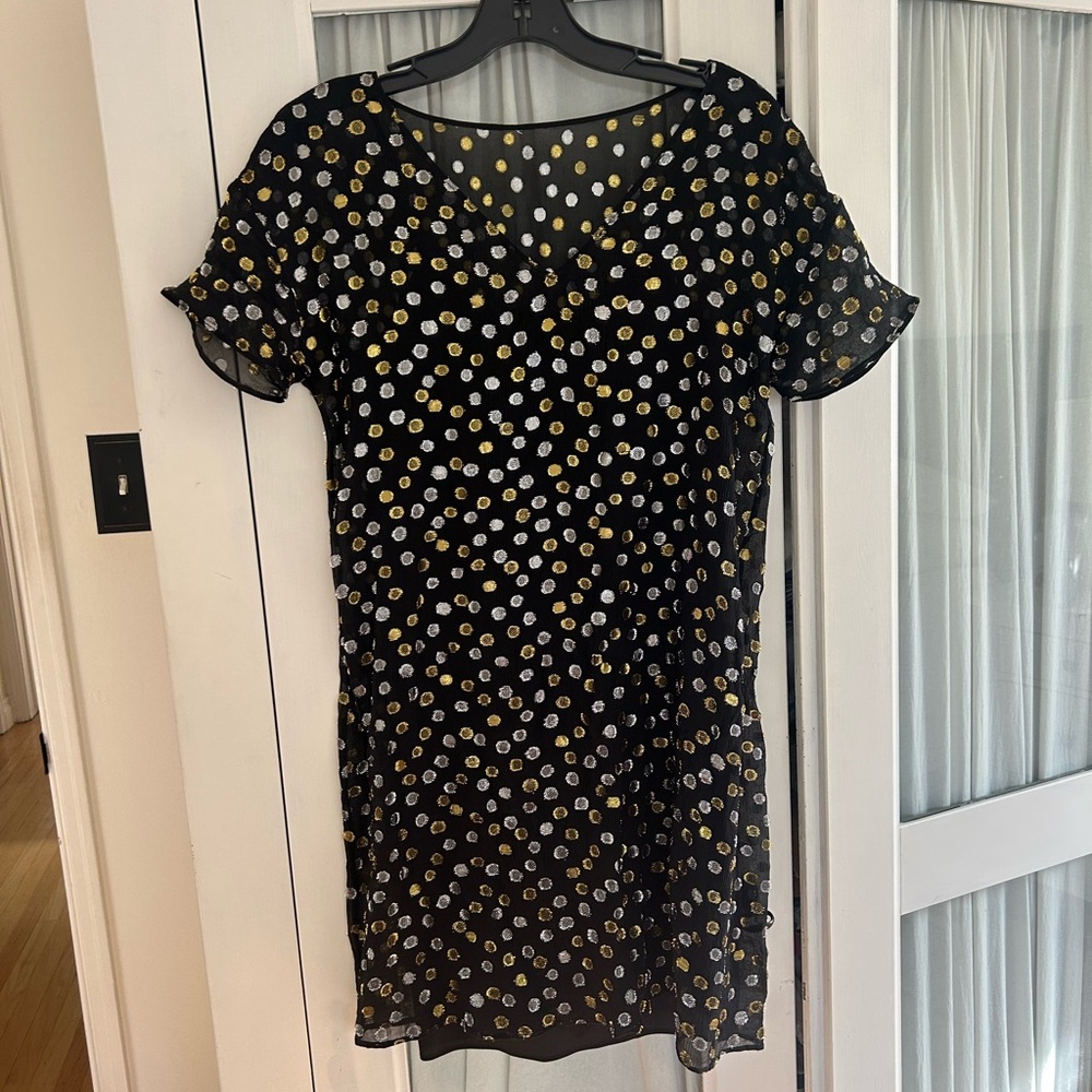 Polka Dot Sheer Black Dress